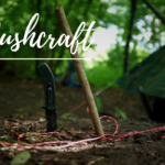 bushcraft survival training