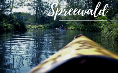 Spreewald – Die 5 besten Insider Tipps