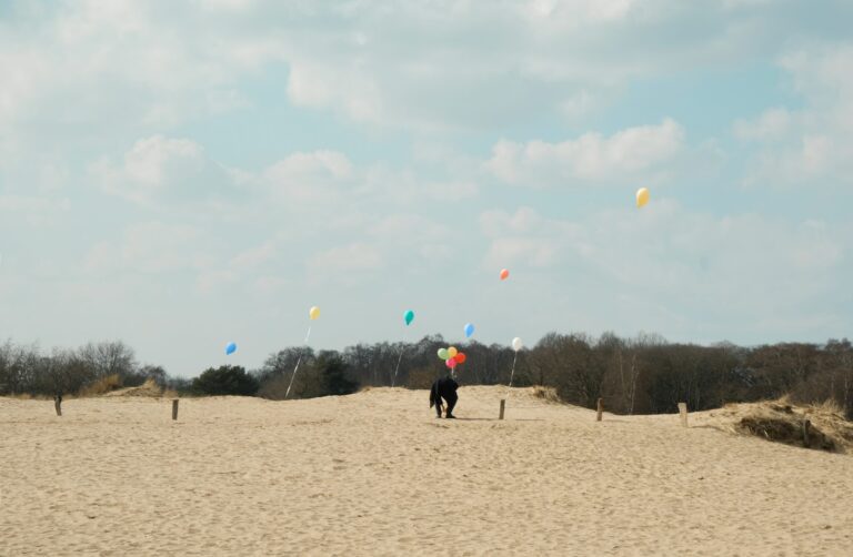 boberger dünen hamburg