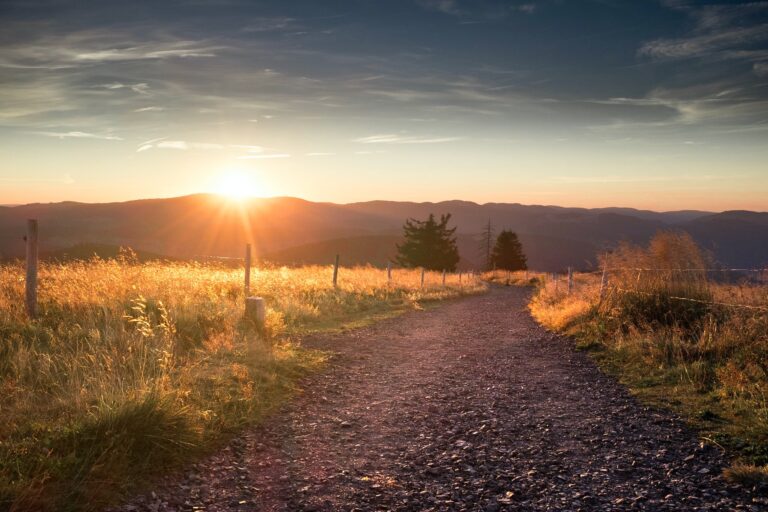 wandergebiete deutschland schwarzwald