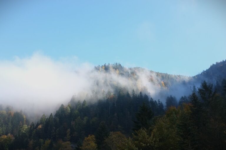 kaiserwinkl österreich tirol